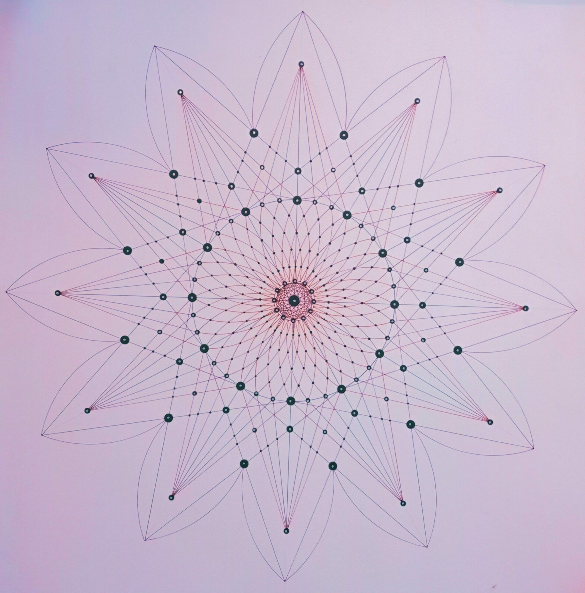 Red Flower Yoga
