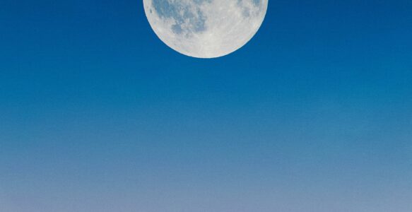 Moon Medicine